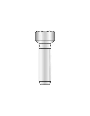 4281 - Special screws for clamps  Special Screws for Clamps